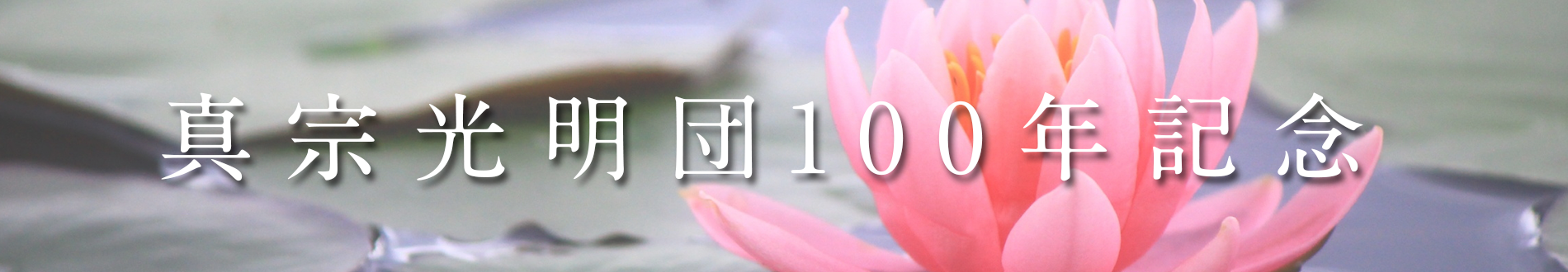koumyou100