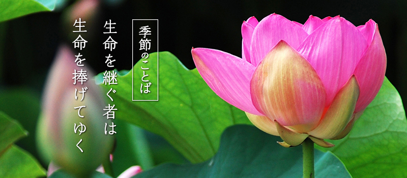201801_sp