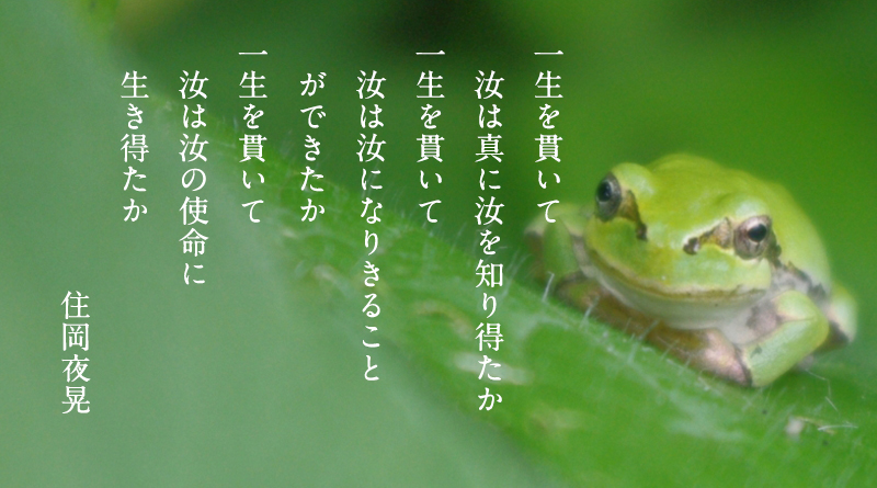 top-sp_01