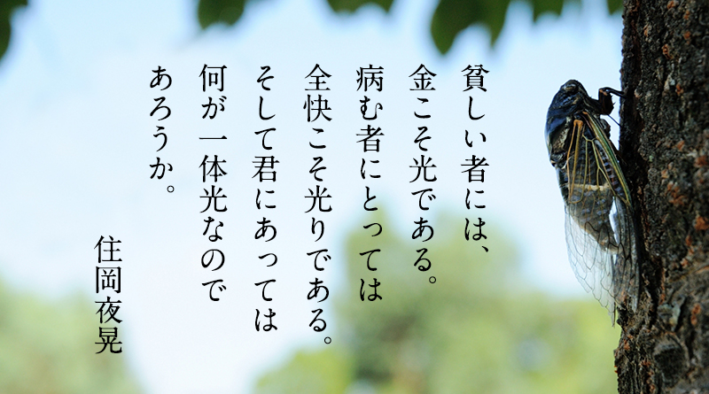 top-sp_03