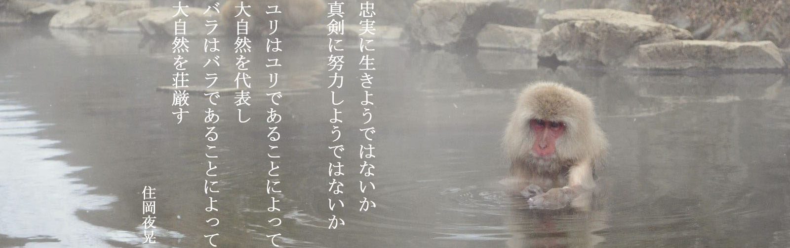 a0790_001050_mのコピー