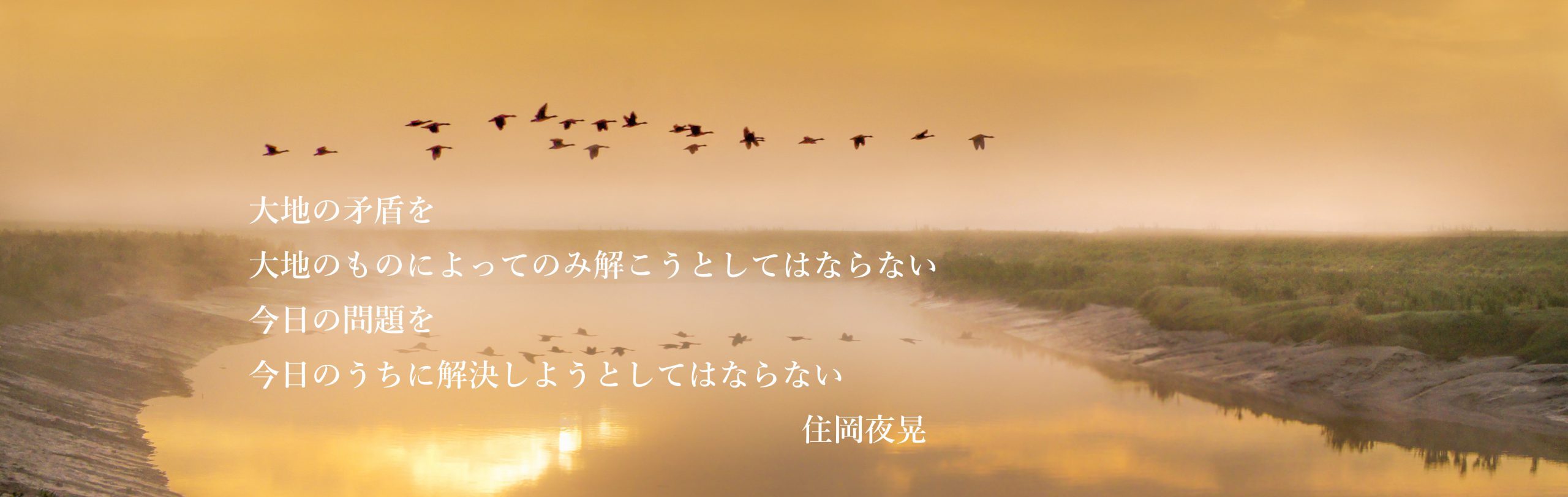 birds-in-flight-5366034のコピー