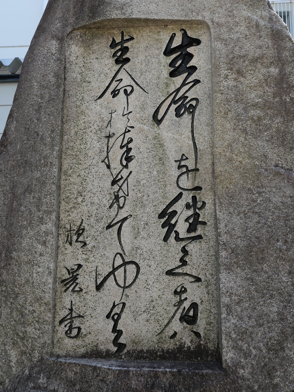 P1000158 960