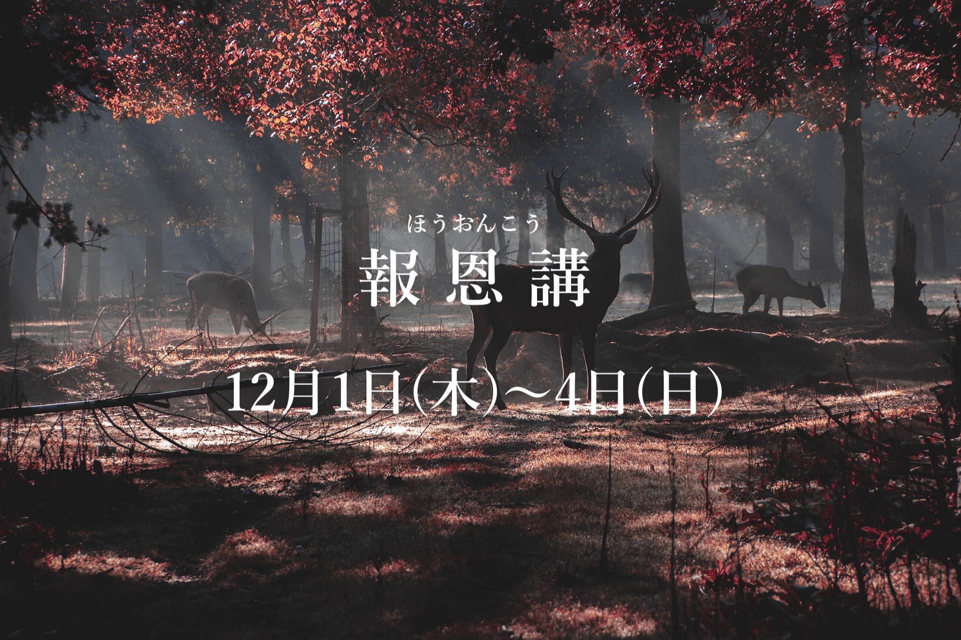 deer-gb9be2ccd4_1920のコピー