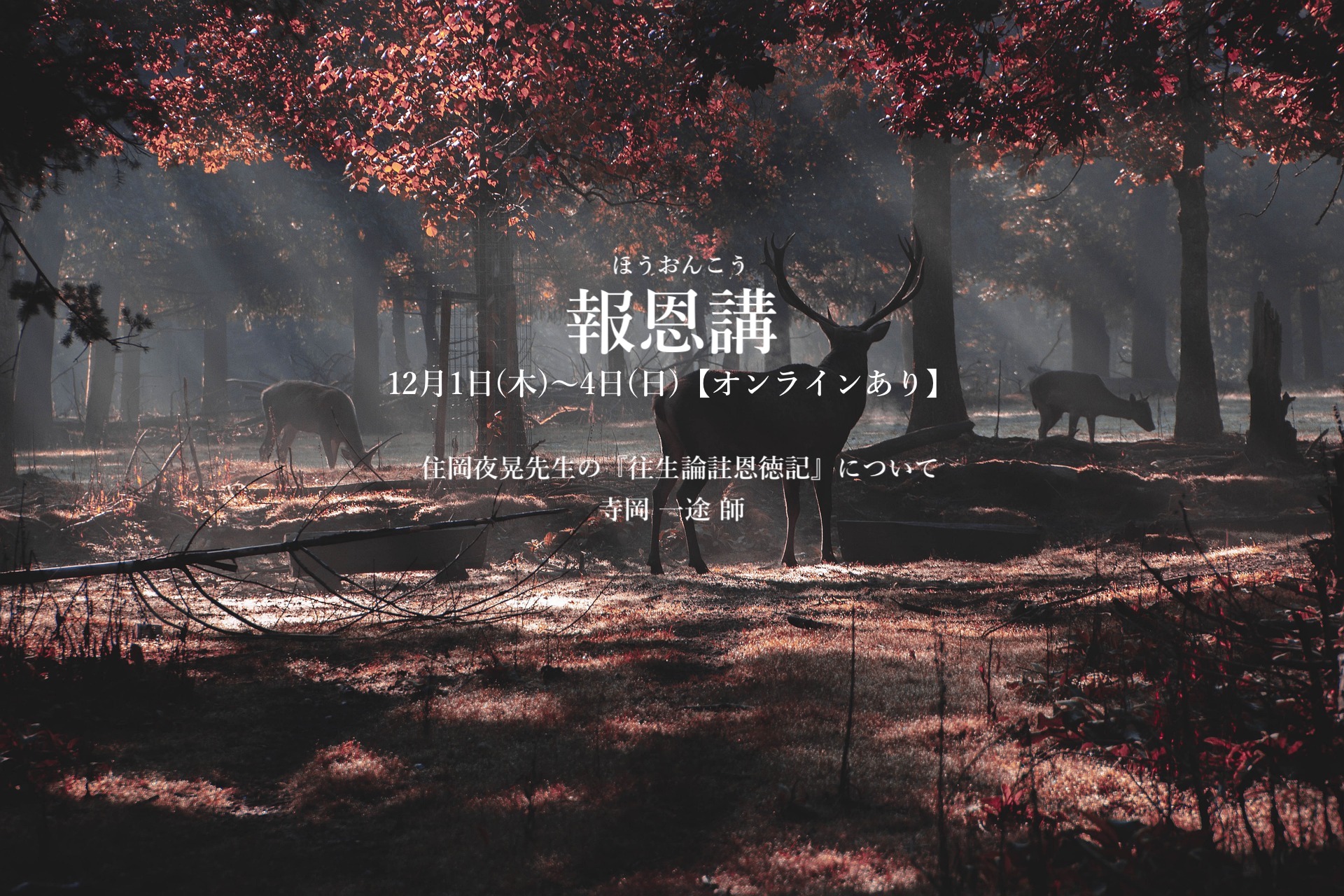 deer-gd31dc65d0_1920