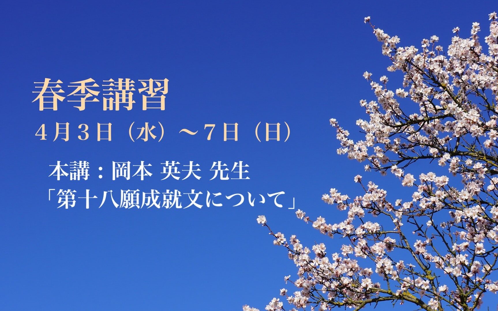 sakura-7046913_1920