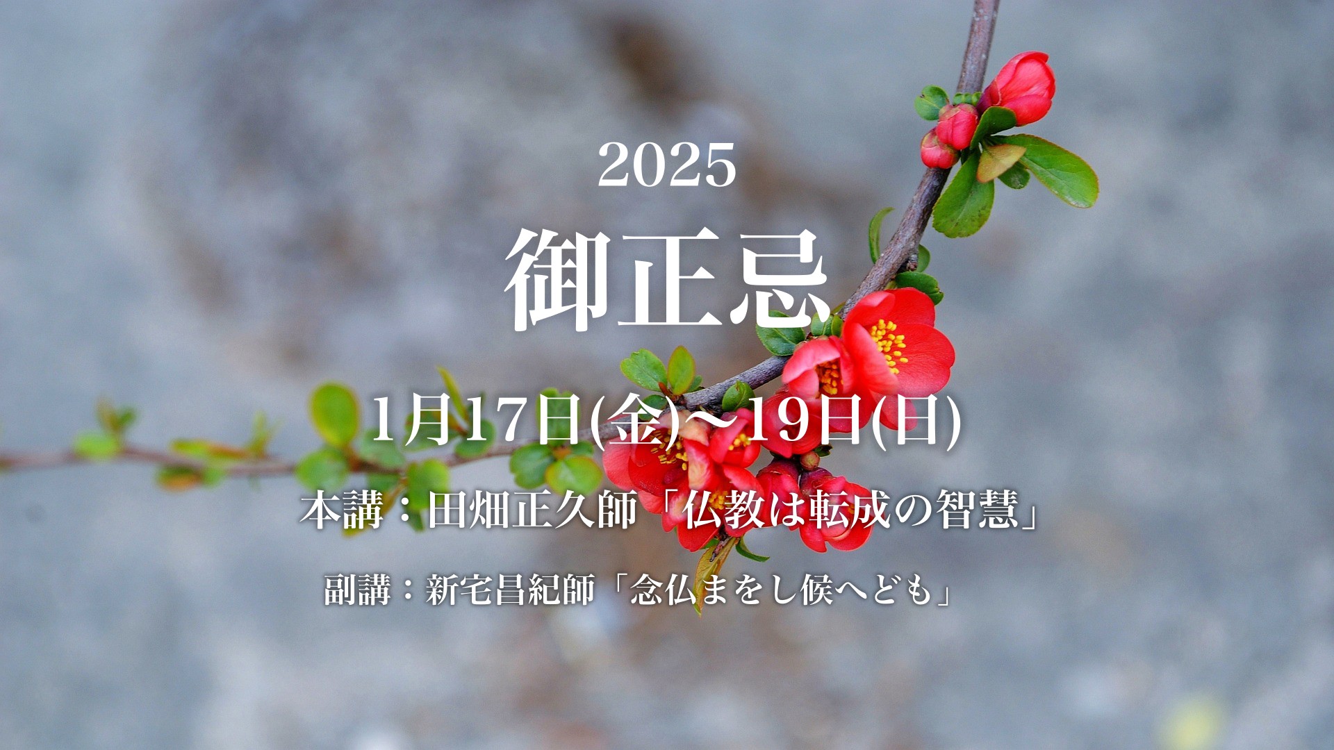 2025御正忌new小アイ