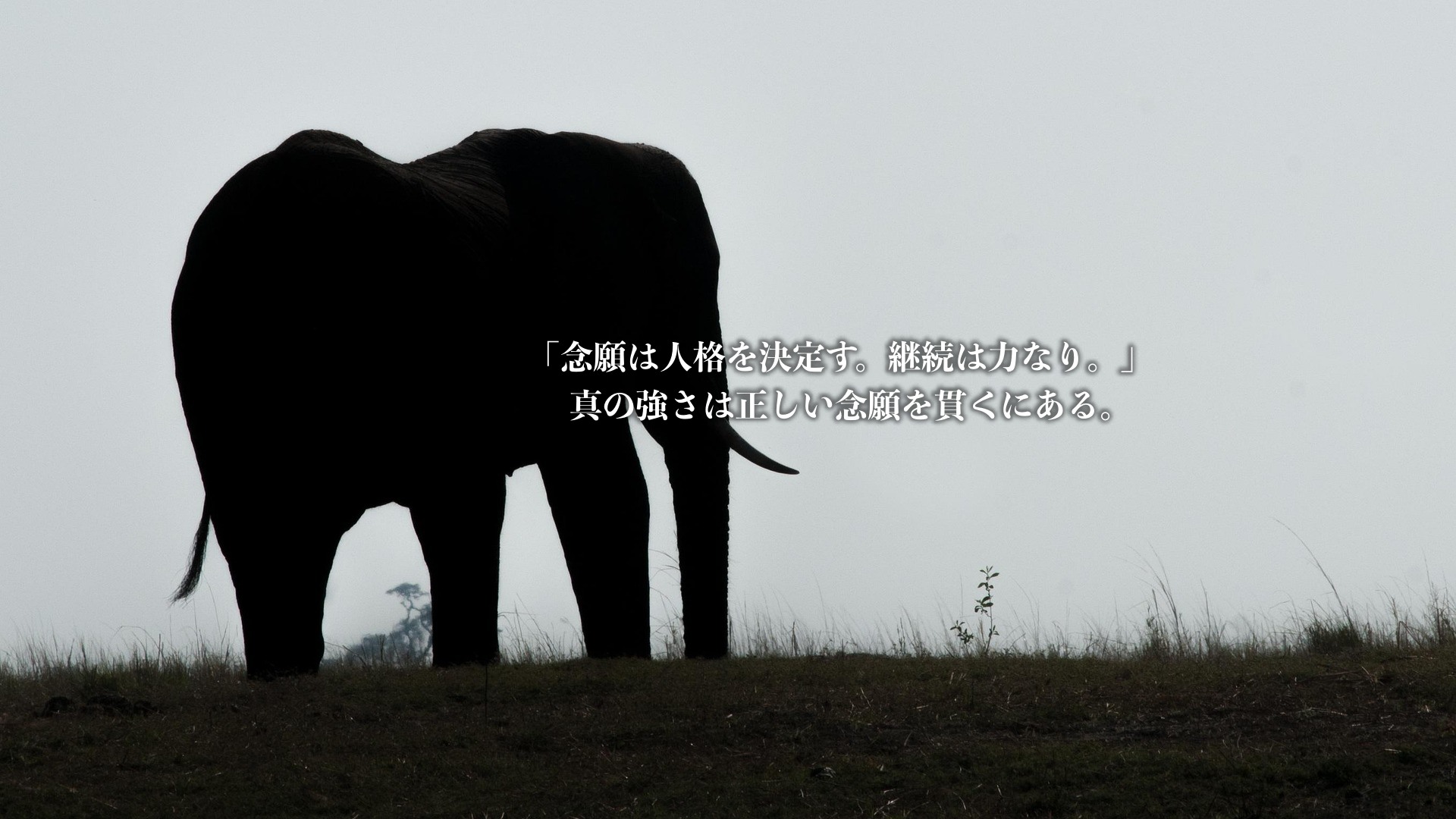 継続は力なりスマホ